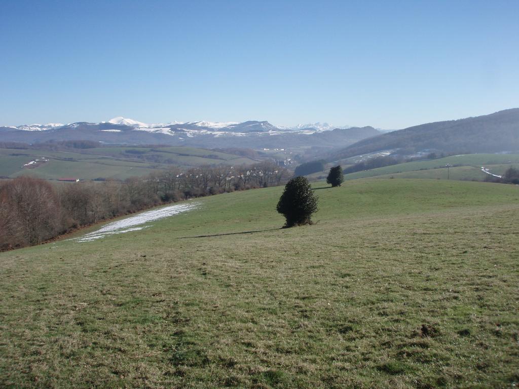 Casa Rural Irugoienea Espinal-Auzperri Екстер'єр фото